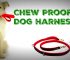 What Is The Best Strong, Heavy Duty & Chew Proof Dog Harness