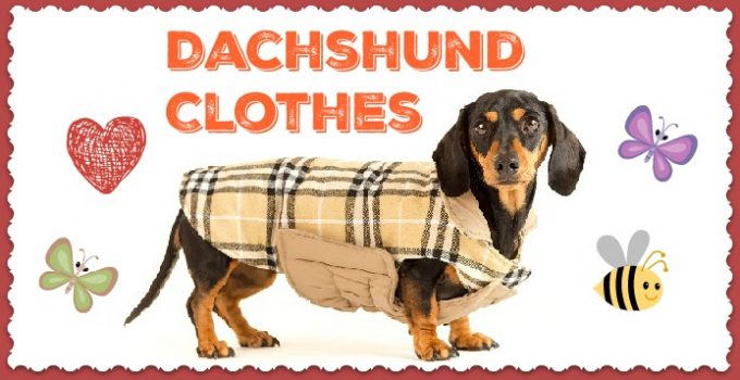 Dachshund Clothes