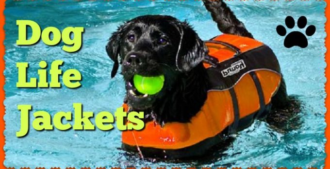 The Best Dog Life Jackets & Vests | Doggy Lifesavers by K9 & Outward Hound